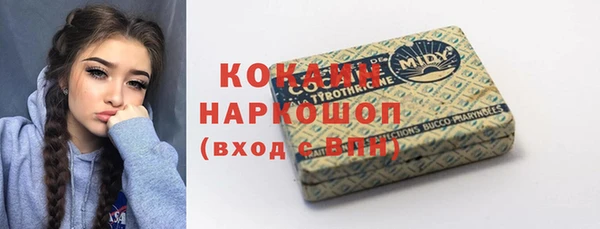 соль ск Алексин