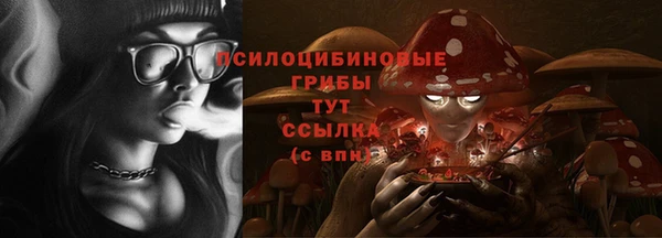 гашик Аркадак