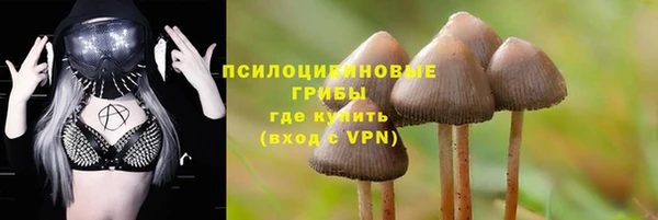 марки lsd Алзамай